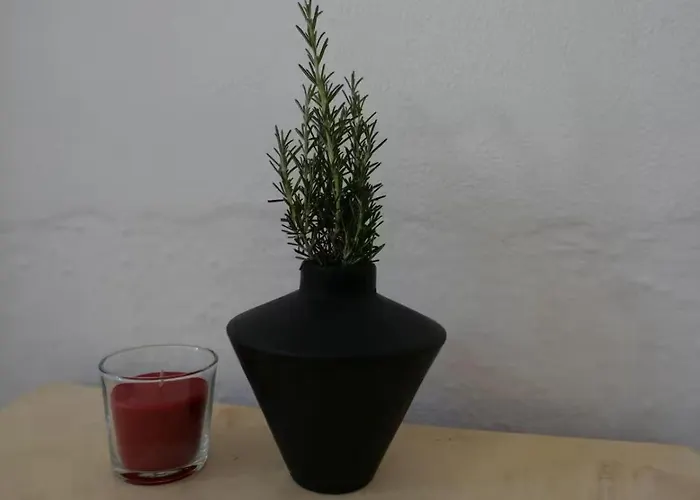 Moradia Albertina 別荘